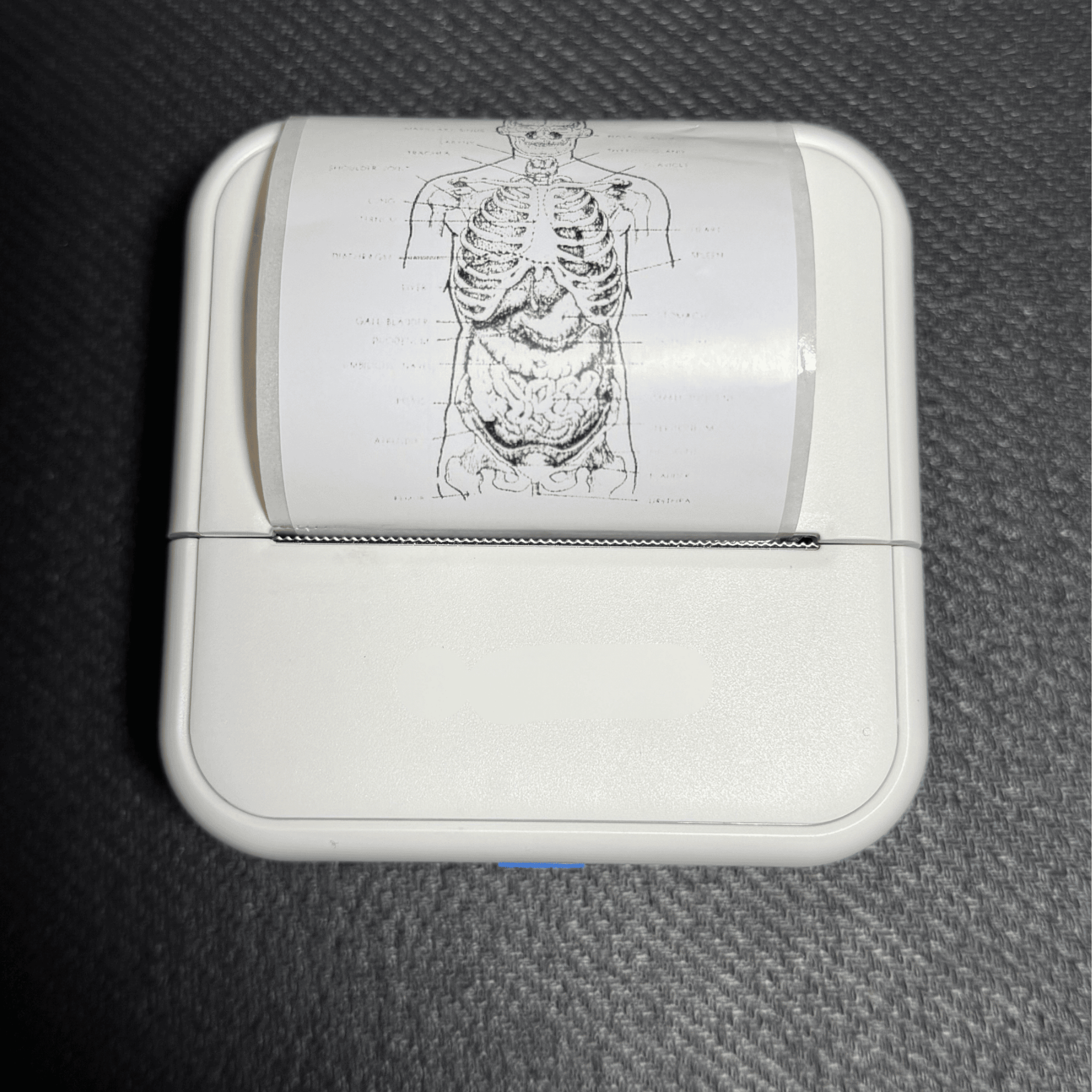 Portable Mini Printer